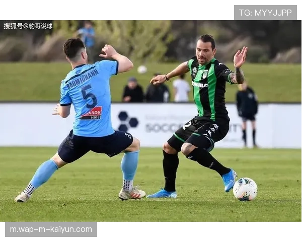 悉尼FC边中结合打法成型 传中制造威胁次数显著增加