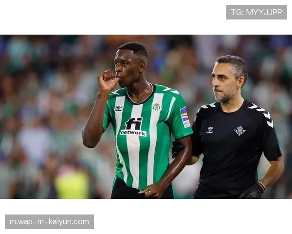 卢多戈雷茨保加利亚常青树 连续欧战参赛记录与稳定性